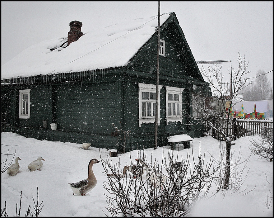 Фото жизнь