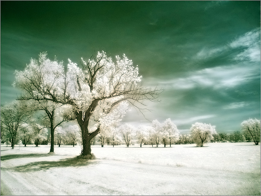 Фото жизнь (light) - Pilgrim - World in Infrared - White spring....
