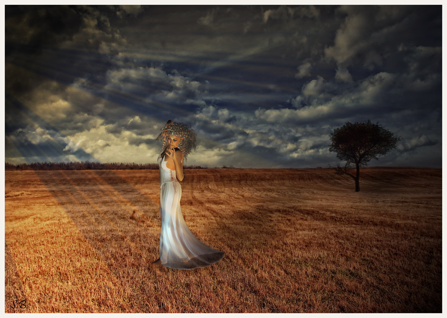 Фото жизнь (light) - Sergei Bashkatov - Комп-АРТ - ***