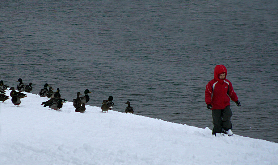 Фото жизнь (light) - RobinZone - лЮдИ - Проводник