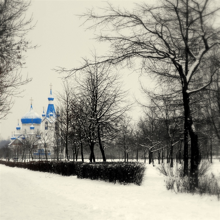 Фото жизнь