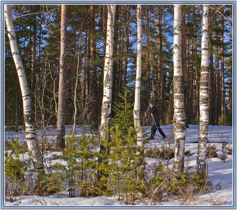 Фото жизнь