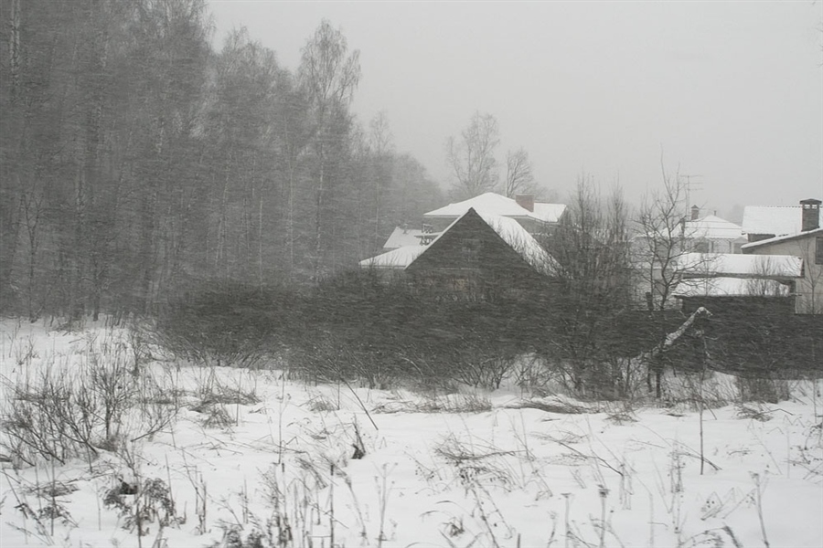 Фото жизнь