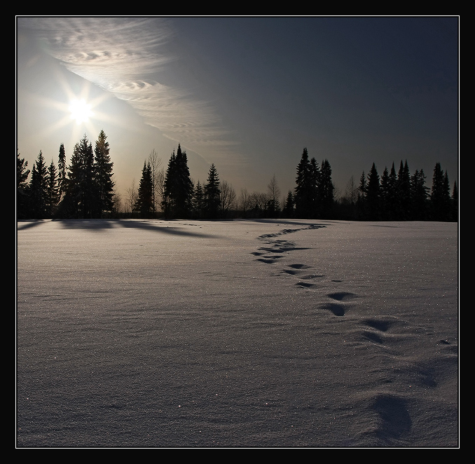 Фото жизнь (light) - pera - корневой каталог - ...