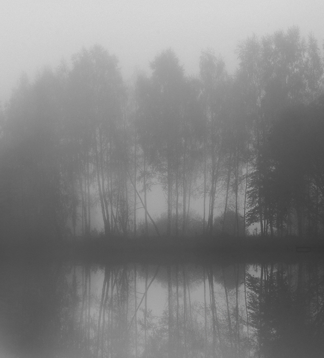Фото жизнь (light) - Сергей Прокошин - корневой каталог - be in a fog...