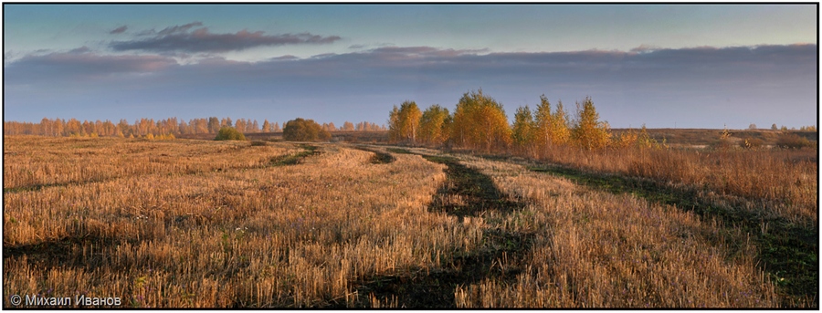 Фото жизнь