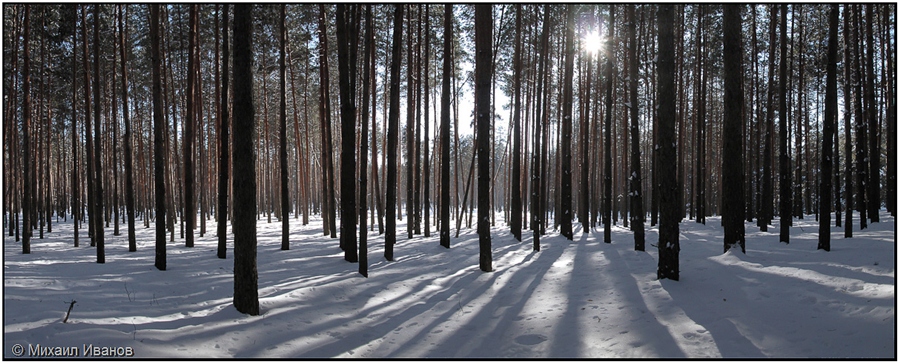 Фото жизнь
