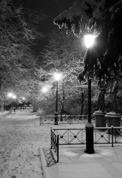 Фото жизнь
