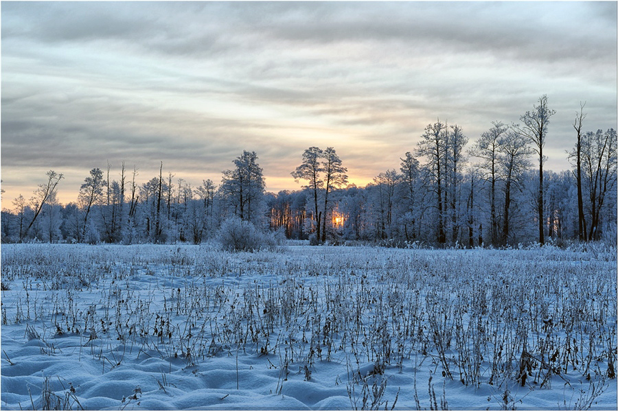 Фото жизнь (light) - SVovan - Зима - ****