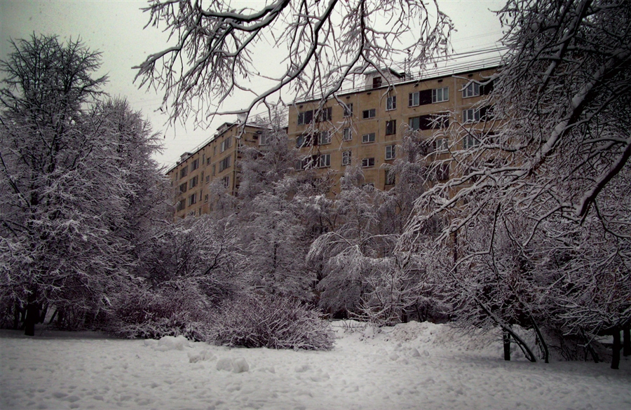 Фото жизнь