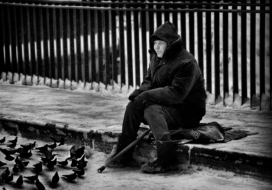 Фото жизнь