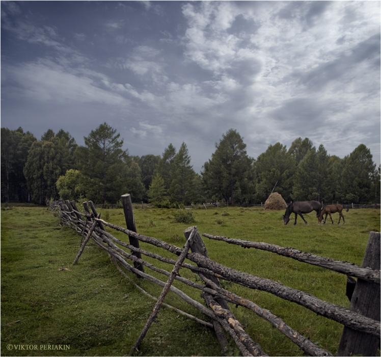 Фото жизнь
