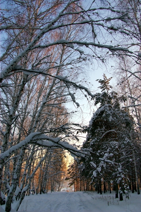 Фото жизнь