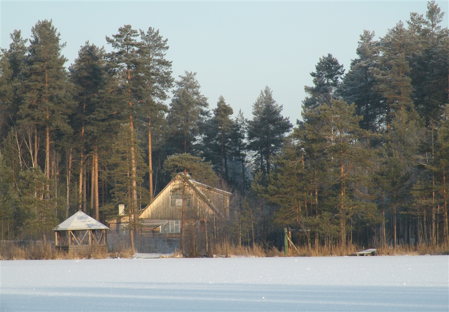 Фото жизнь