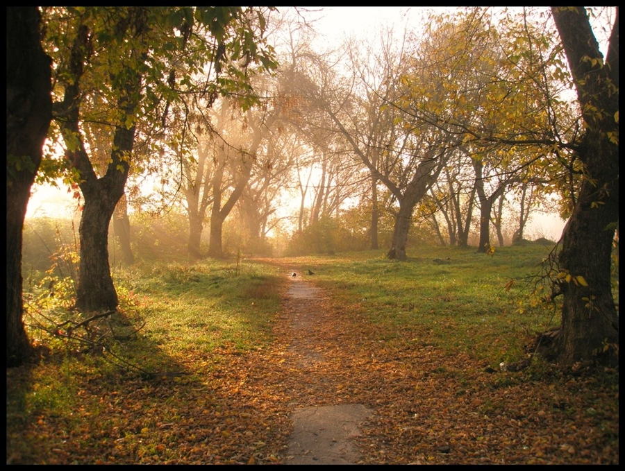 Фото жизнь