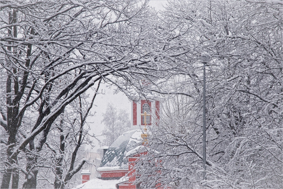 Фото жизнь