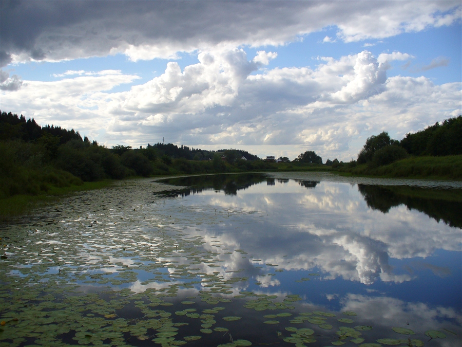 Фото жизнь