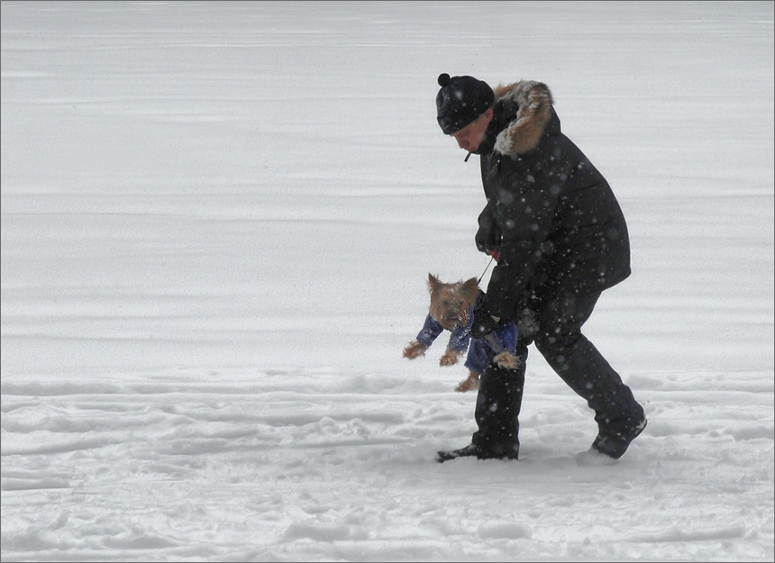 Фото жизнь (light) - Luluka - Ах вы, звери мои, звери! - Подвешенное состояние