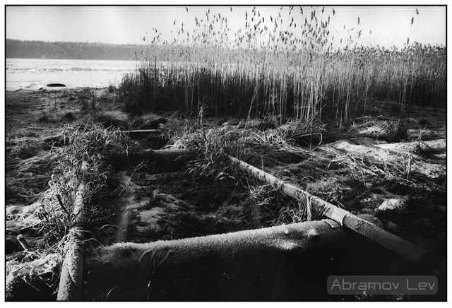 Фото жизнь (light) - Lev Abramov - Black&White - зима