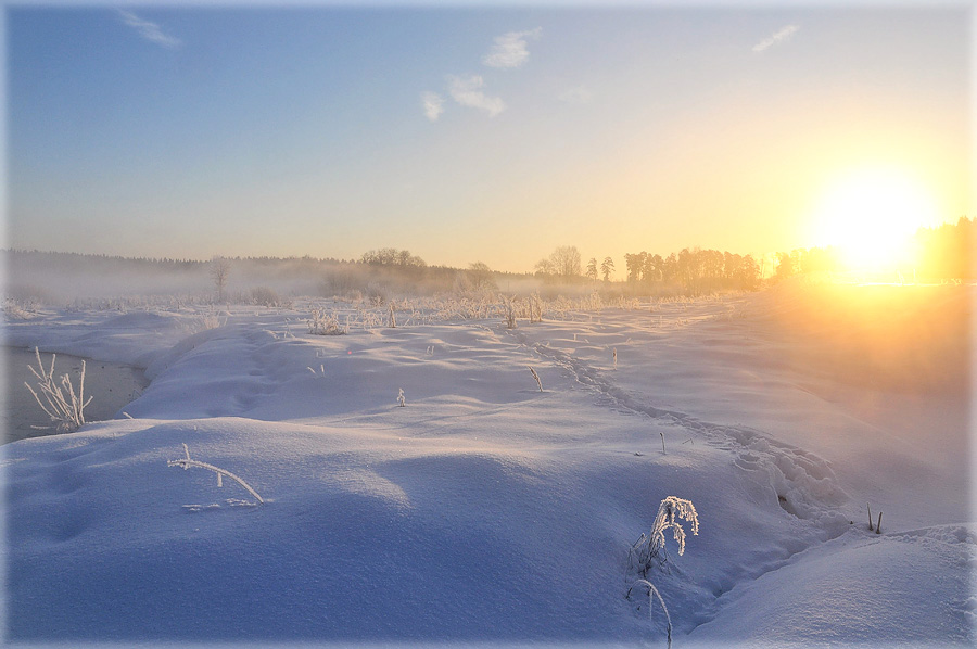 Фото жизнь (light) - Pastor - Зима - Морозное утро