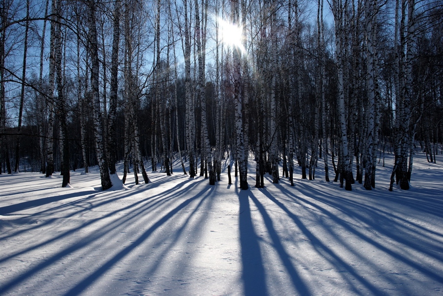 Фото жизнь
