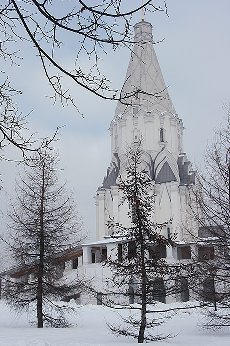 Фото жизнь (light) - ballada - зима - ели...