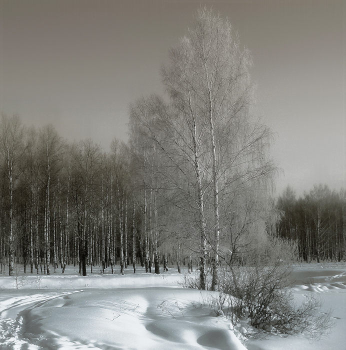 Фото жизнь (light) - Сергей Прокошин - корневой каталог - *