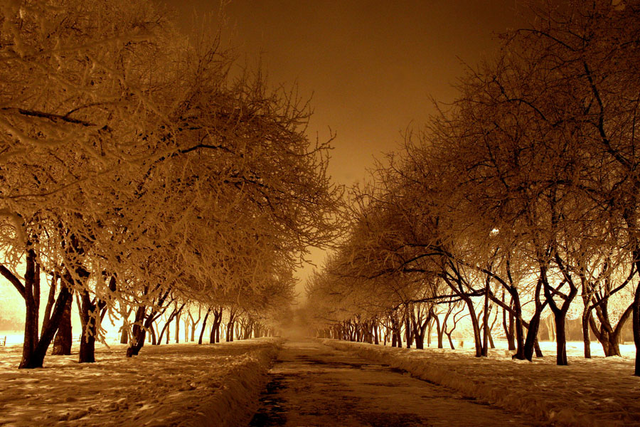 Фото жизнь (light) - владимир шуваиков - корневой каталог - аллея