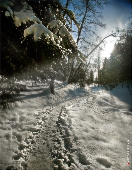 Фото жизнь