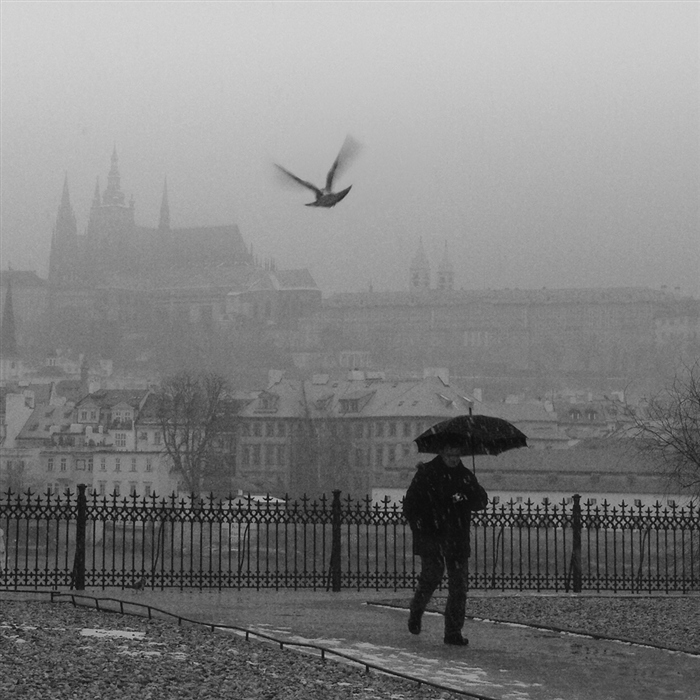 Фото жизнь (light) - oktober - Прага сквозь зонты. Путешествие по Чехии. - зонт первый