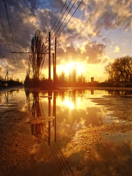 Фото жизнь
