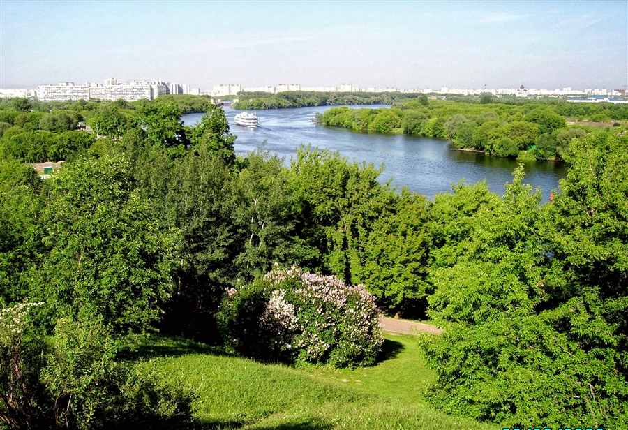 Фото жизнь