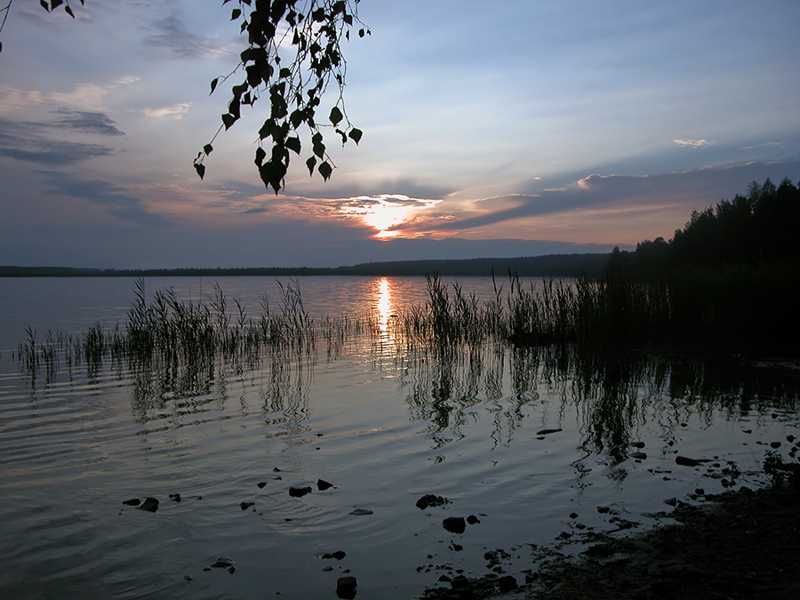 Фото жизнь (light) - Senitskaya - корневой каталог - Вечер на озере