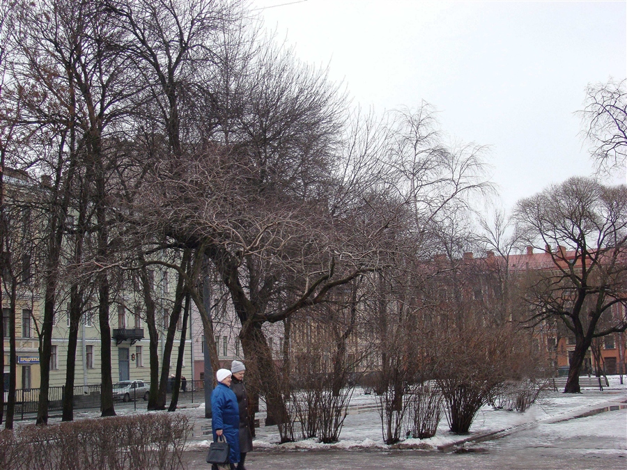 Фото жизнь