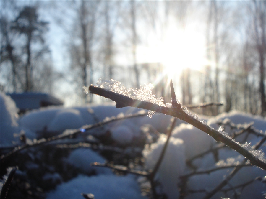 Фото жизнь