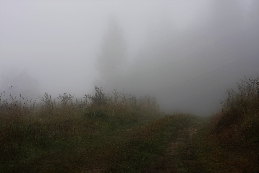 Фото жизнь (light) - Bluzmen - Природа - Утро туманное