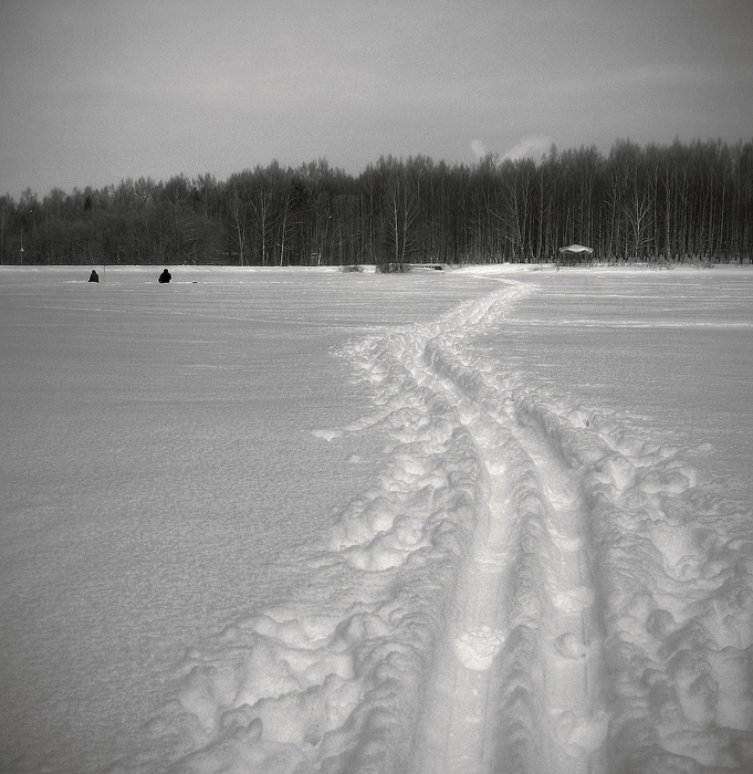 Фото жизнь (light) - Сергей Прокошин - корневой каталог - уходящей зиме