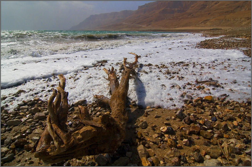 Фото жизнь (light) - MIUN - корневой каталог - Мёртвое Море штормит