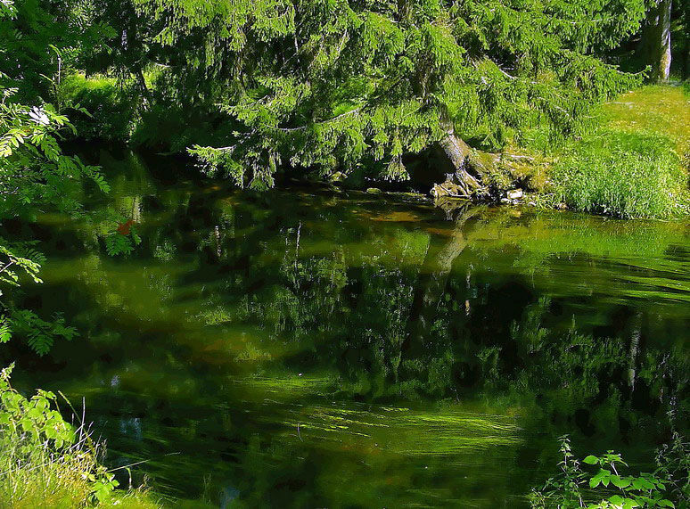 Фото жизнь (light) - GJanna - Природа - Летняя река