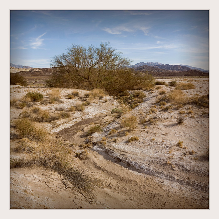 Фото жизнь - startowik - Death Valley - Русло