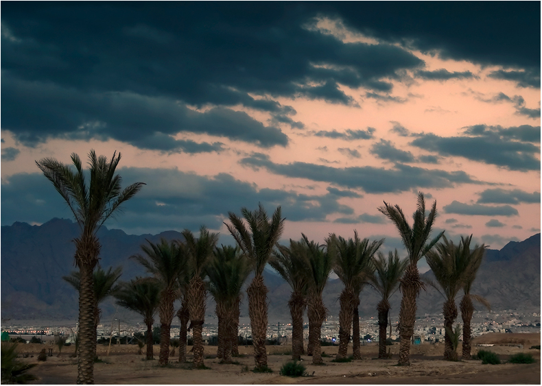 Фото жизнь - kuchum13 - корневой каталог - пришел циклон и в пустыню