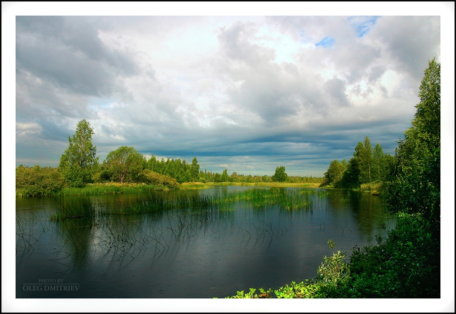 Фото жизнь