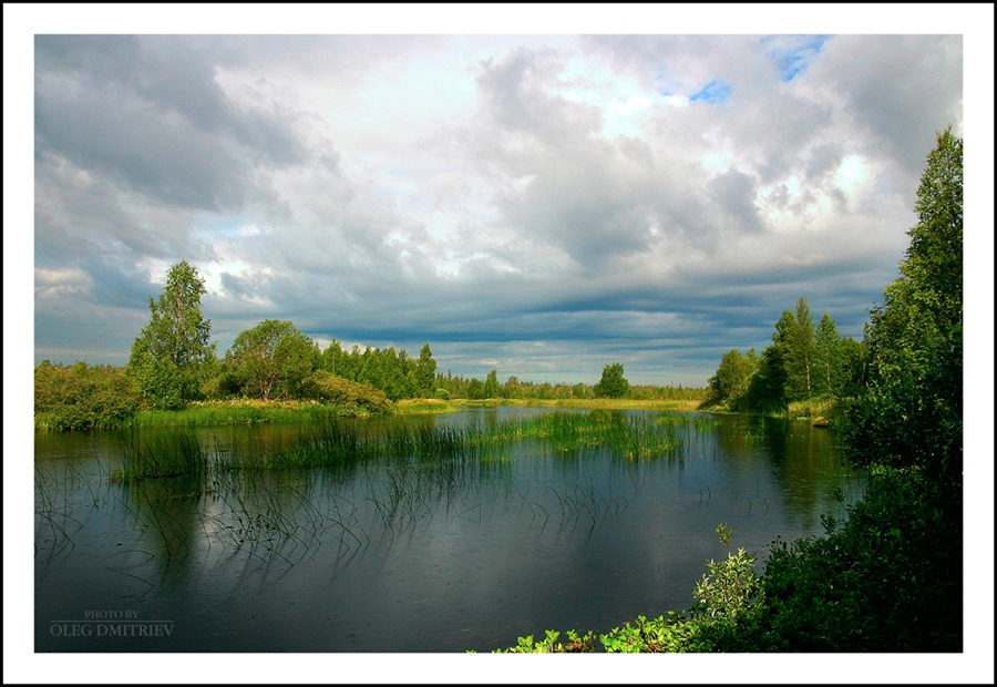 Фото жизнь