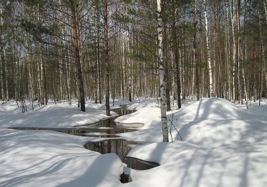 Фото жизнь