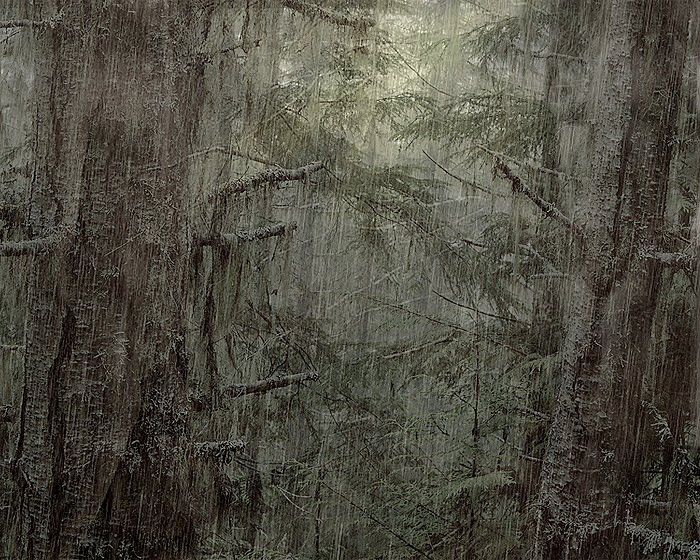Фото жизнь (light) - alla-soul - эксперименты - dark forest....