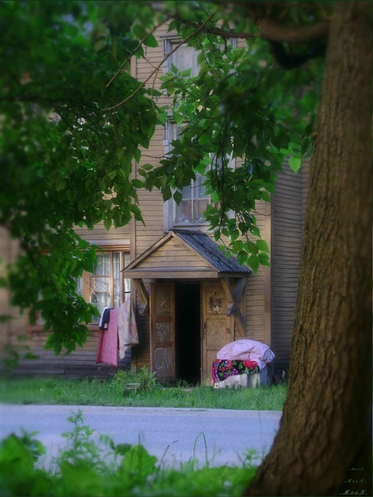 Фото жизнь
