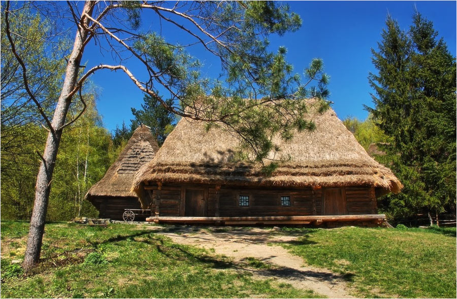 Фото жизнь