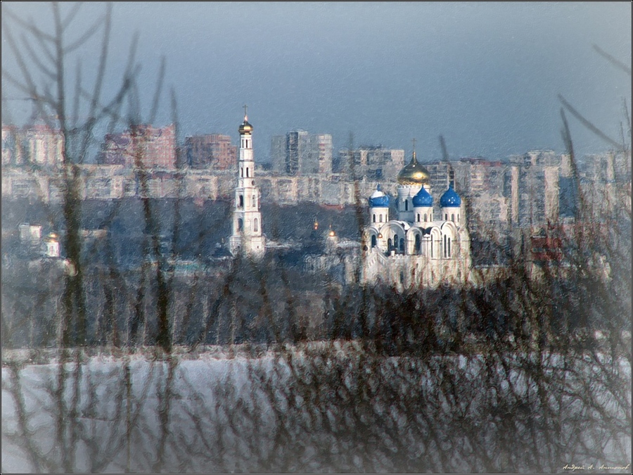 Фото жизнь