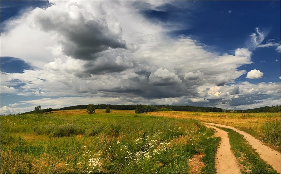 Фото жизнь