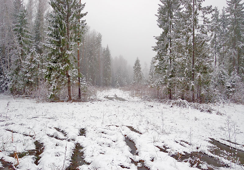 Фото жизнь (light) - Павел Преснов - Пейзаж - ***